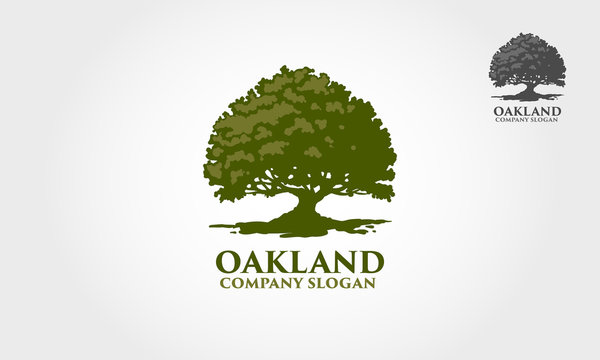 Oak Land Vector Logo. Vector silhouette of a tree. The tree is symbol of strength, longevity, fertility, hope and continuity. This logo can be used by landscape business, hotels, financial, etc.