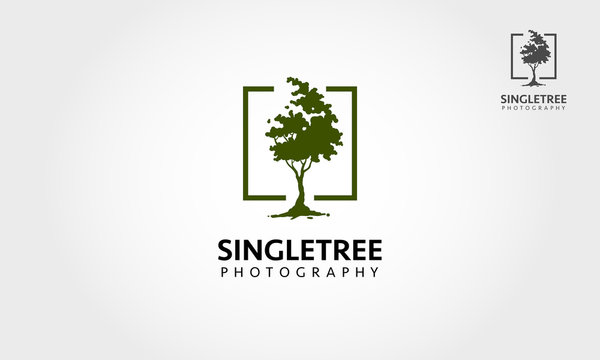 Single Tree Photography Vector Logo Template. Illustration single tree with square. Clean and modern style.