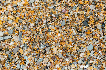Sea beach pebble and shells (colorful different shapes of shells fragments) in sunny day. Vacation time conception.