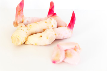 close up of galanga an ingredient for seasoning and also for medicinal, isolated on white background with copy space.