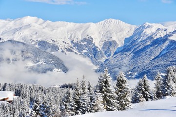 Fototapeta na wymiar Snowy mountain with pine trees in winter 