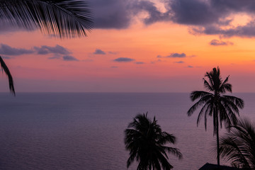 Fototapeta na wymiar Night panorama in Ko Samui, colorful background of palms trees