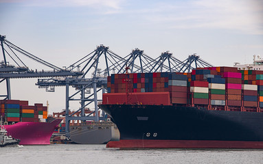 Fototapeta premium Logistics and container loading by large barges by sea in a harbor full of containers waiting to be transported