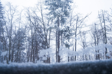 Winter frosty snow-white snowflakes falling, view through the transparent window glass, trees in background