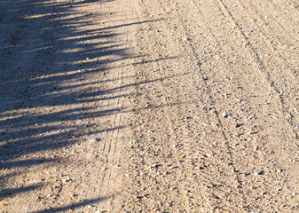 , shade of maize on ,road ,