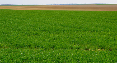 Obraz premium Champs Seine et Marne Ile de France
