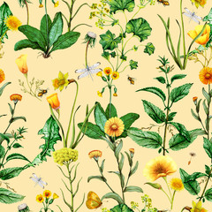 Watercolor seamless pattern of medical plants