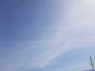 Cielo