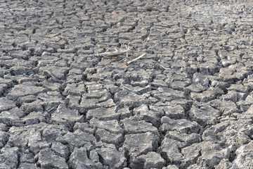 solo rachado pela falta de água