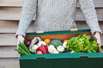 A person delivering a fresh box of vegetables. Online organic food shopping - Powered by Adobe