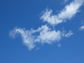 Cielo