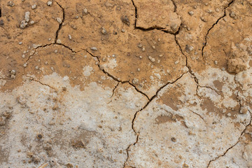 Obraz premium Salty soil