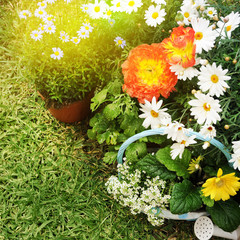 Spring garden