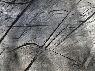 Legno