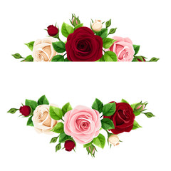 Vector banner with pink, burgundy and white roses.