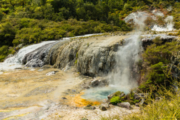 ニュージーランド　タウポ近郊にある地熱地帯のオラケイ･コラコ･ジオサーマル･パーク&ケーブのゴールデン・フリース・テラス