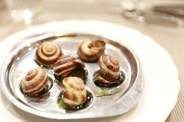 Serve with grilled snail dish sauce, seasoned garlic and olive oil, along with grilled meat or vegetables.