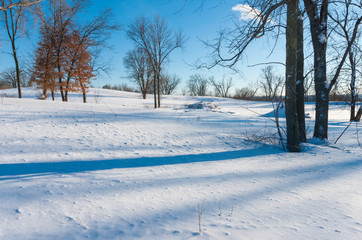 Fototapeta na wymiar Snowy Landscape Atop Bluffs of Battle Creek Park in Saint Paul