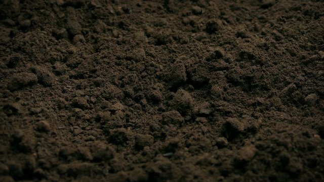 Soil Ground Closeup Moving Shot