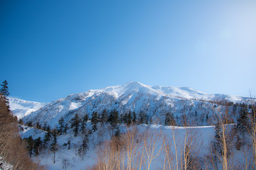 春告げる大雪山