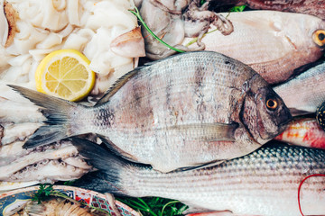Fresh ocean fish and seafood at the market.