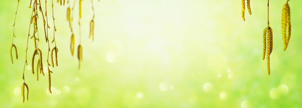 birkenpollen auf abstraktem hintergrund