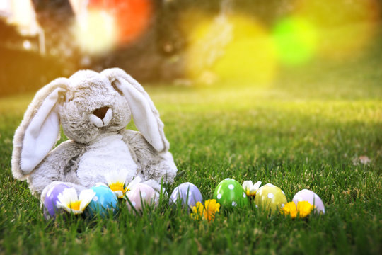 Cute rabbit and easter eggs