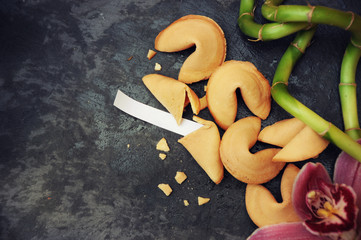Fortune Cookie