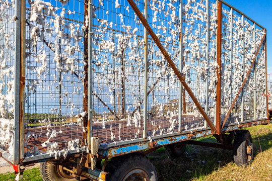 Empty Cotton Trailer Close View In A Greek Village At Xanthi Regional Unit In Winter