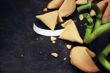 Fortune Cookie