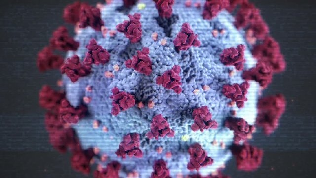 Zoom out on an animation of a COVID-19 Microscopic molecular view , Novel Coronavirus clip. Public Domain element from U.S. Centers for Disease Control and Prevention