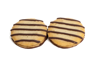 striped cookies isolated