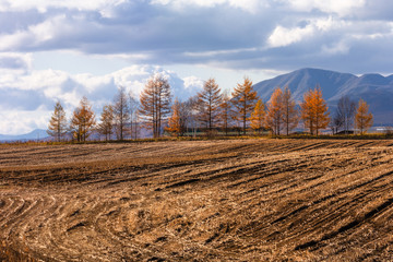 日本の北海道東部・上士幌町付近、秋の風景