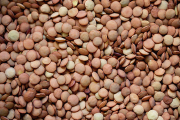 Pile lentil background. Top view. Flat lay. Vegetarian and vegan diet. High content of B vitamins in lentils. healthy Superfood