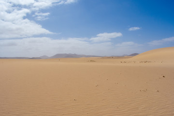 Sand Dunes in Corralejo, Fuerteventura, Canary Islands, Spain. Sand or Desert against Blue sky 