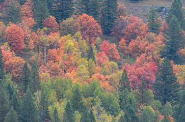 Scenic Autumn Landscape in Snake River Canyon Idaho