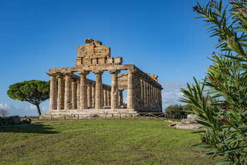 Fototapeta premium Temple of Athena in Paestum Italy