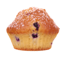 Homemade blueberry cupcake.