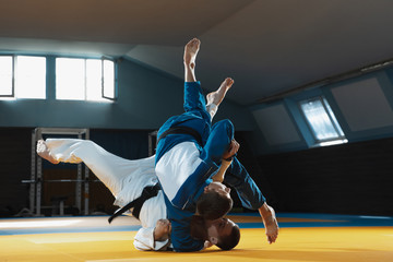 Two young judo caucasian fighters in white and blue kimono with black belts training martial arts in the gym with expression, in action, motion. Practicing fighting skills. Overcoming, reaching target - Powered by Adobe