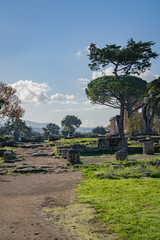 The stunning Paestum Italy