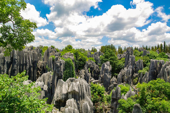 Naigu Shilin limestone pinnacles Stone Forest, Kunming Yunnan China.