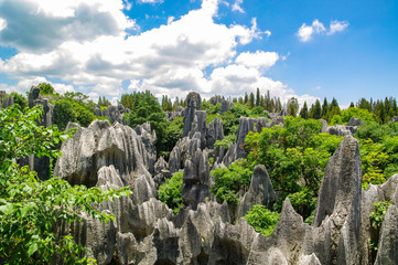 Naigu Shilin limestone pinnacles Stone Forest, Kunming Yunnan China.