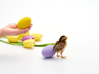 Easter eggs in the child's hand.