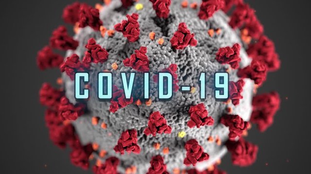 Zoom out on molecular model of Covid-19 virus , microscope view of coronavirus . Public Domain background element from U.S. Centers for Disease Control and Prevention