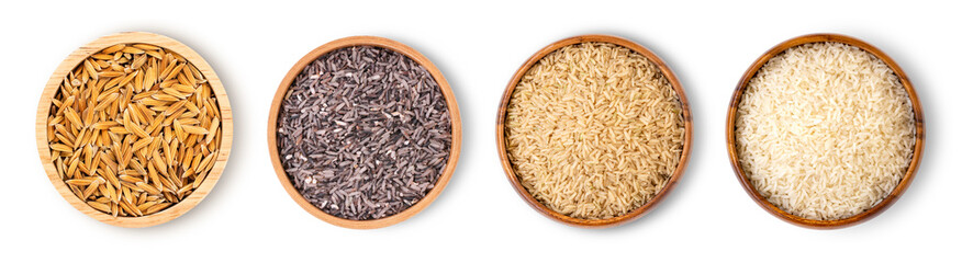 Various type and color of rice ; paddy rice, riceberry ,brown coarse rice and white thai jasmine rice in wooden bowl isolated on white background. Healthy diet concept. Flat lay. Top view.