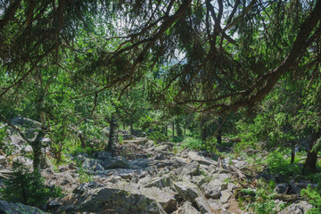 Alpine meadows Taganay