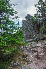 Alpine meadows Taganay