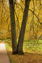 Fototapeta premium Mikhaylovskoye - State museum-reserve of Alexander Pushkin. Pskov oblast. Russia