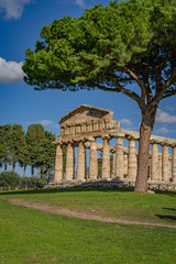 Fototapeta na wymiar Temple of Athena in Paestum Italy