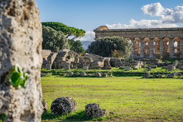 A look at a temple in Paestum Italy